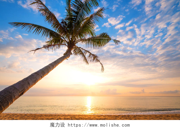 美丽的热带海滩美丽的热带海滩，棕榈树在日出的海景。在夏天背景视图海滩.
